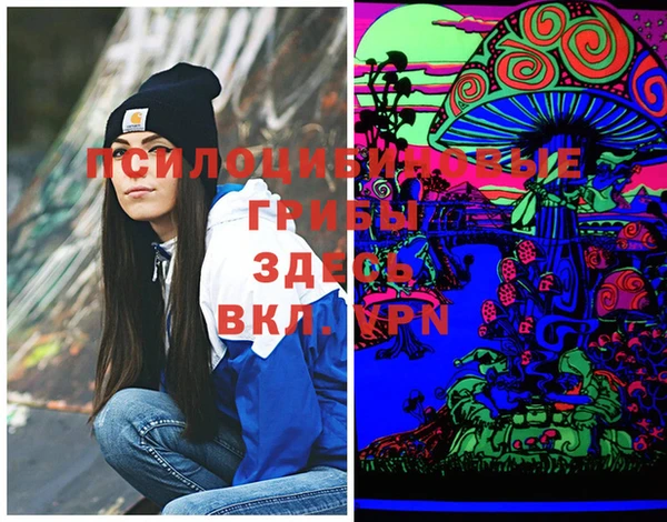 винт Аркадак