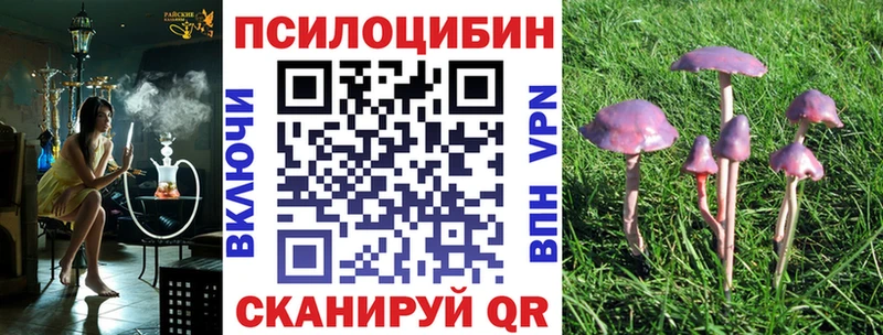 Галлюциногенные грибы прущие грибы  Карачаевск 
