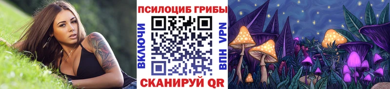 Псилоцибиновые грибы MAGIC MUSHROOMS Карачаевск