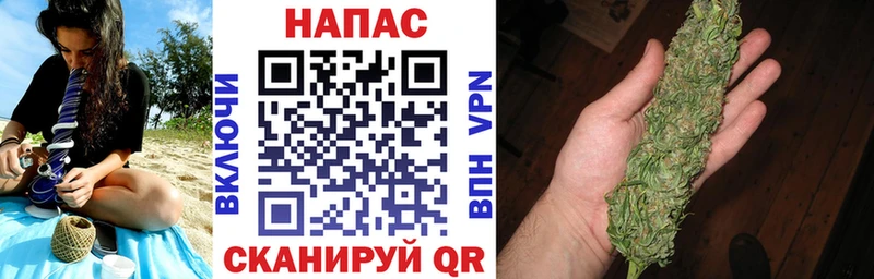 цены OMG зеркало Бошки марихуана план Карачаевск